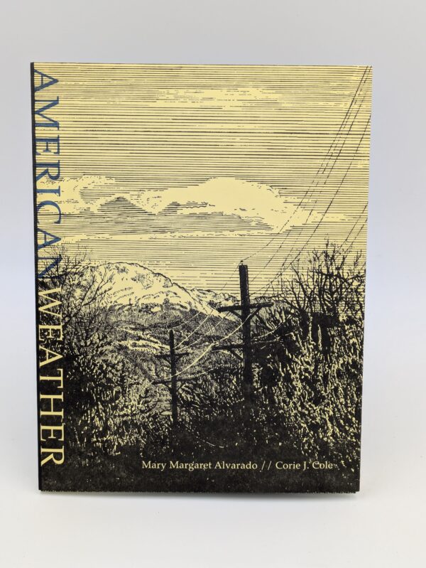 American Weather Book